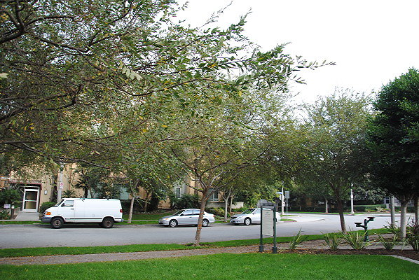 DSC 0106