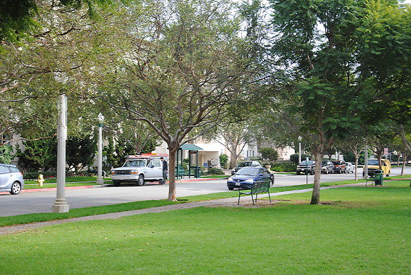 DSC 0085