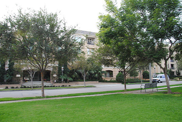 DSC 0071