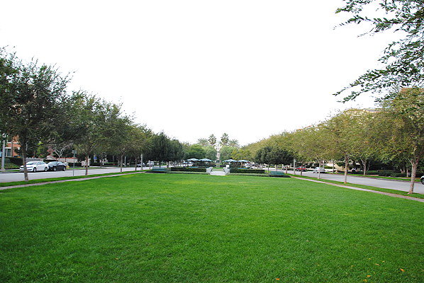 DSC 0101