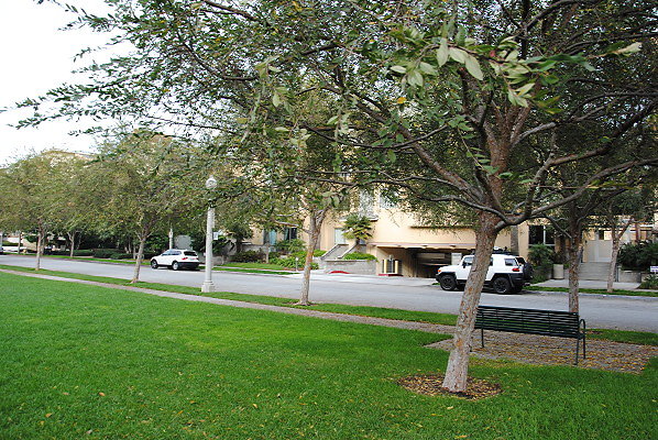 DSC 0102