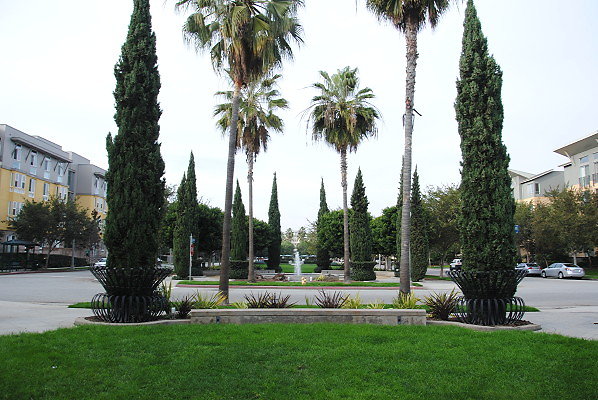 DSC 0110