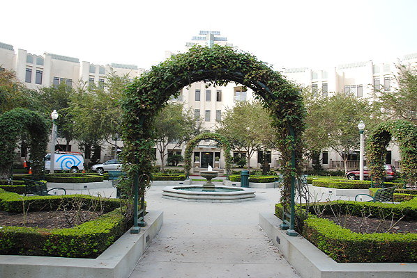 DSC 0089