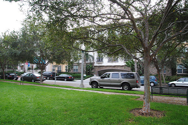 DSC 0114