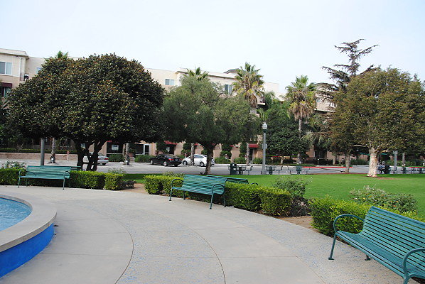 DSC 0039