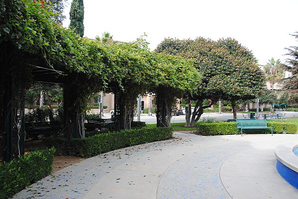 DSC 0040