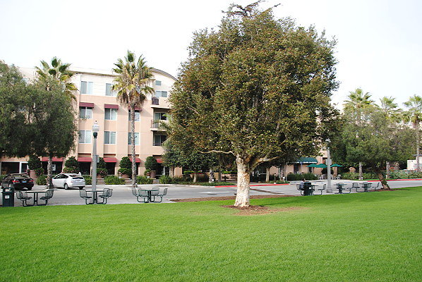 DSC 0028
