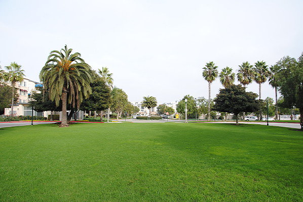 DSC 0029