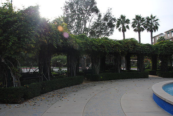 DSC 0037
