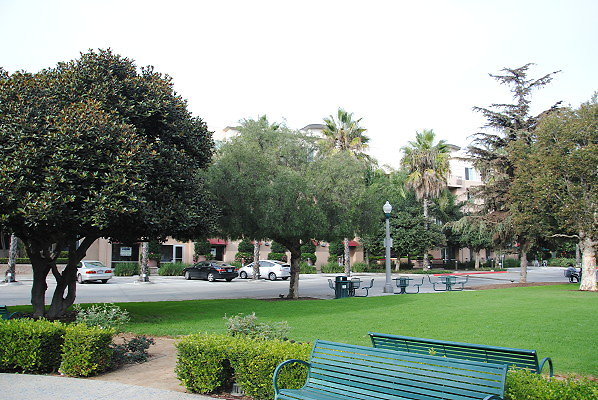 DSC 0034