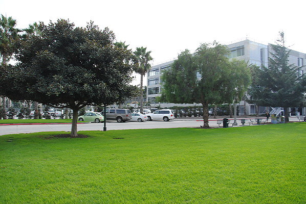 DSC 0013