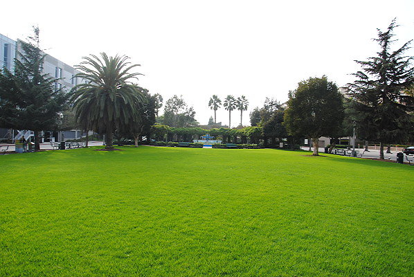 DSC 0014