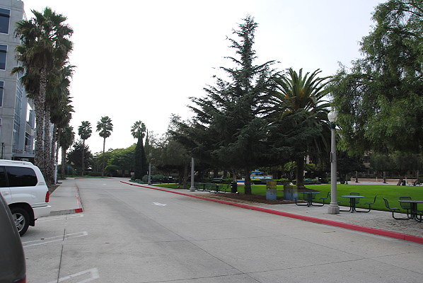 DSC 0003