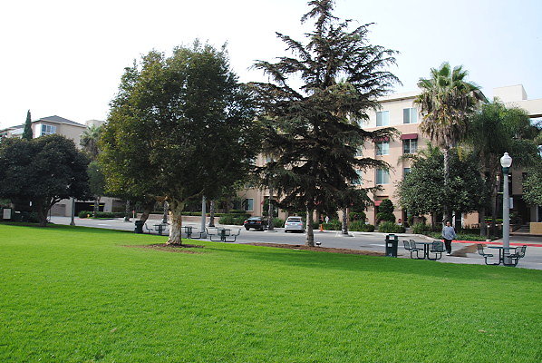 DSC 0021