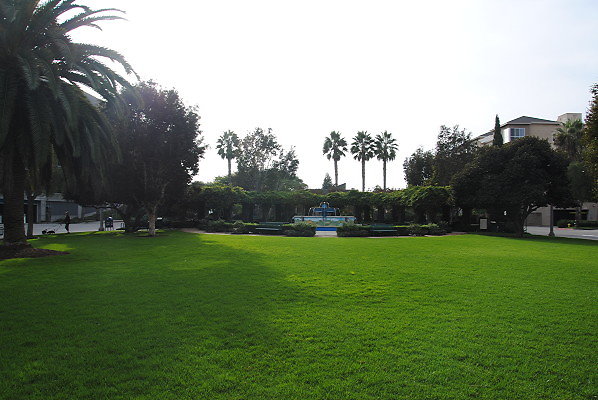 DSC 0020