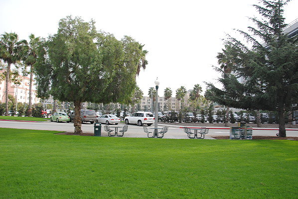 DSC 0026