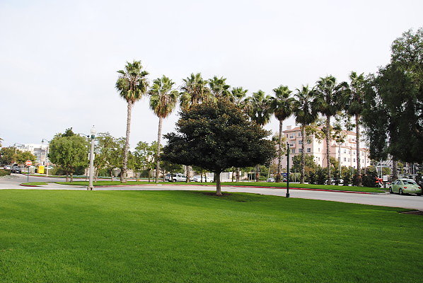 DSC 0025