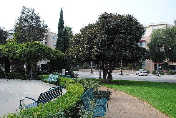 DSC 0033