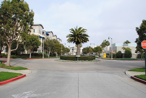DSC 0010