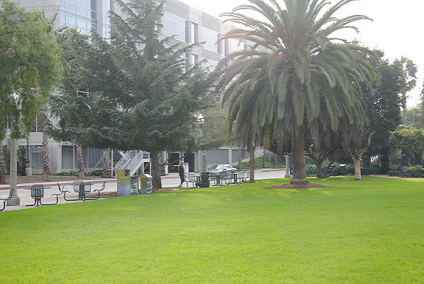DSC 0016