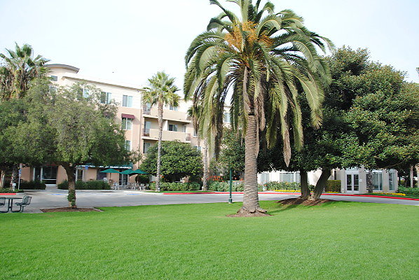 DSC 0024