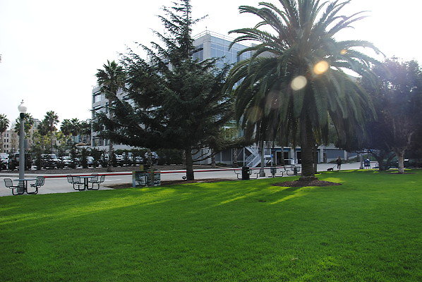 DSC 0019