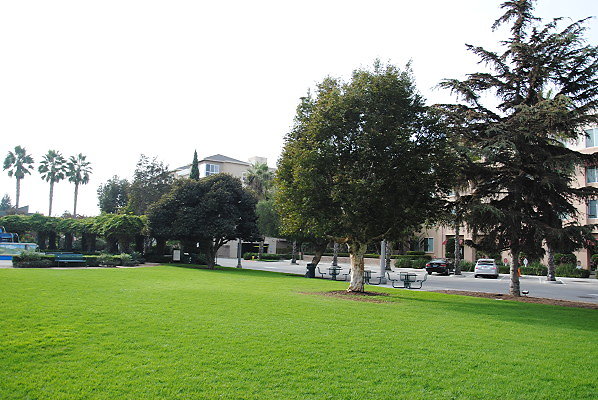 DSC 0022