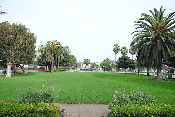 DSC 0035