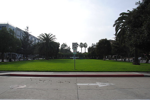 DSC 0007