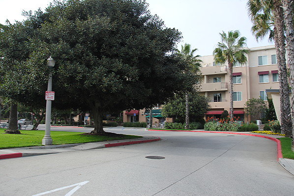 DSC 0008