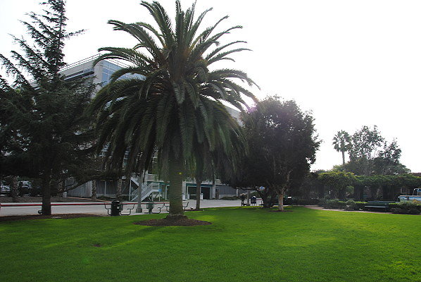DSC 0027