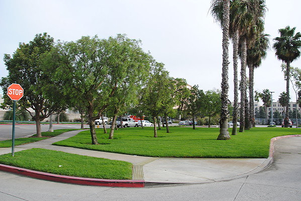 DSC 0011