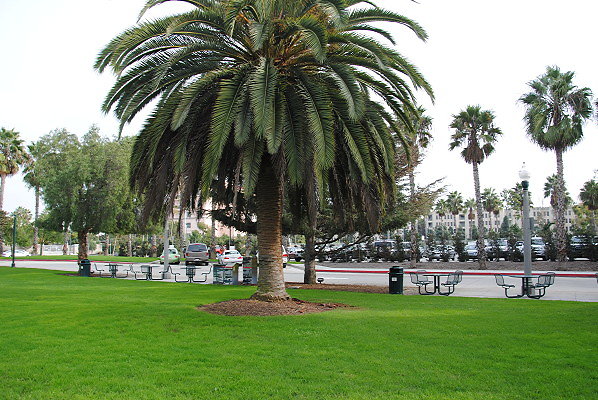 DSC 0030