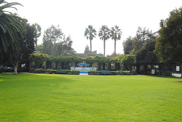 DSC 0017