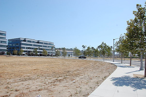 DSC 0027