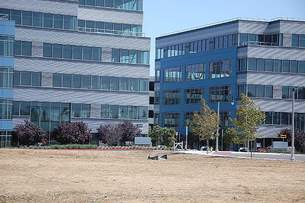 DSC 0030