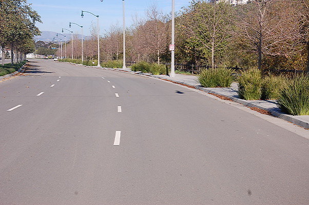 DSC 0304