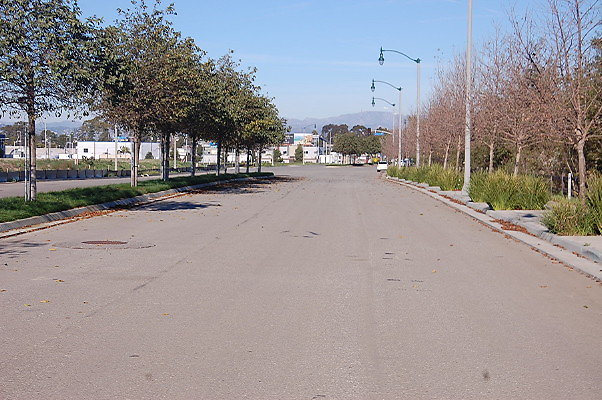DSC 0307