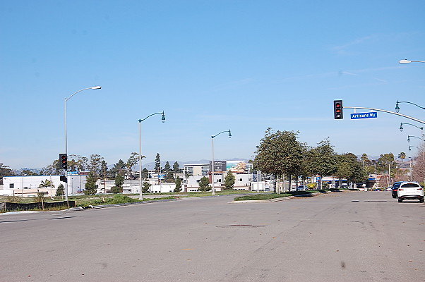 DSC 0311