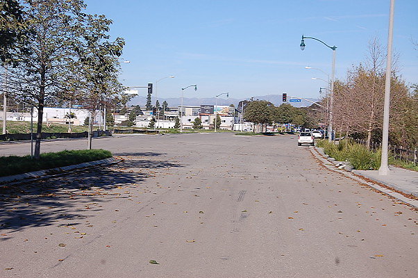 DSC 0309