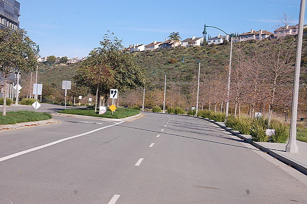 DSC 0299