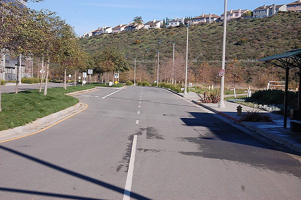 DSC 0298