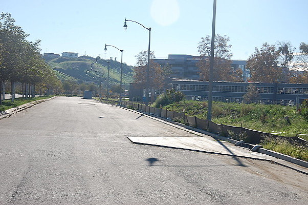 DSC 0344