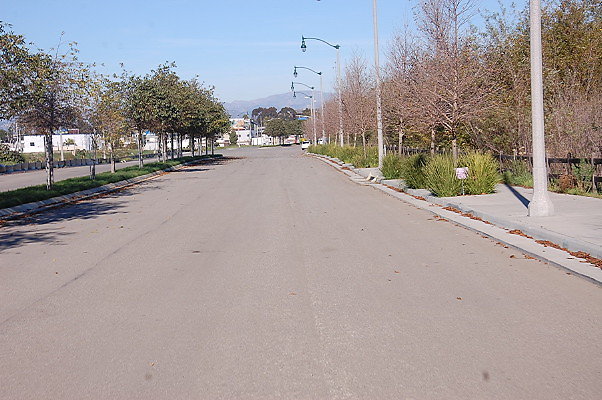 DSC 0306