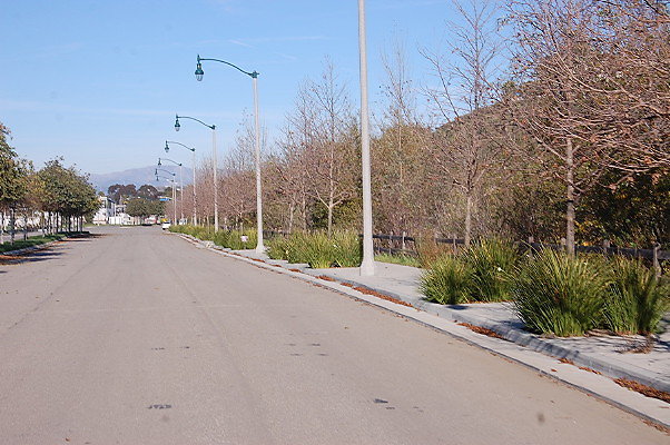 DSC 0305