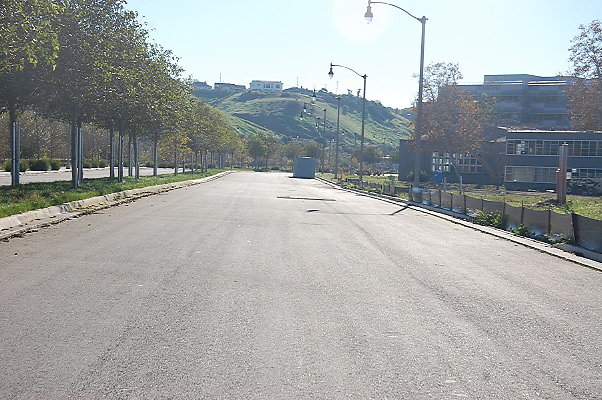 DSC 0345