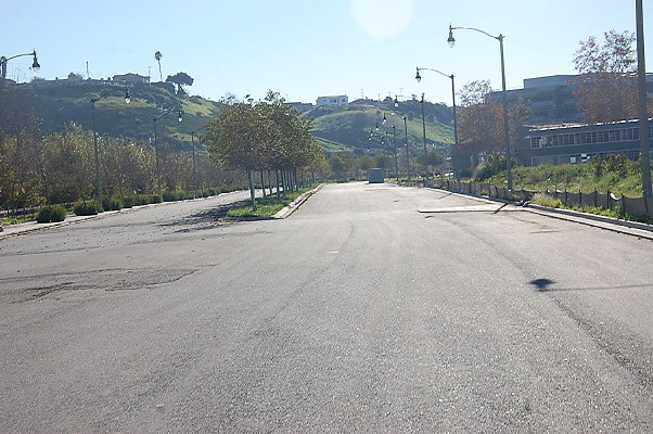 DSC 0343