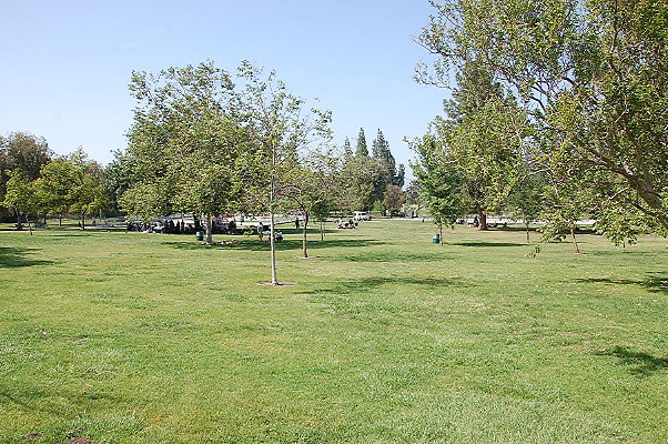 DSC 0069