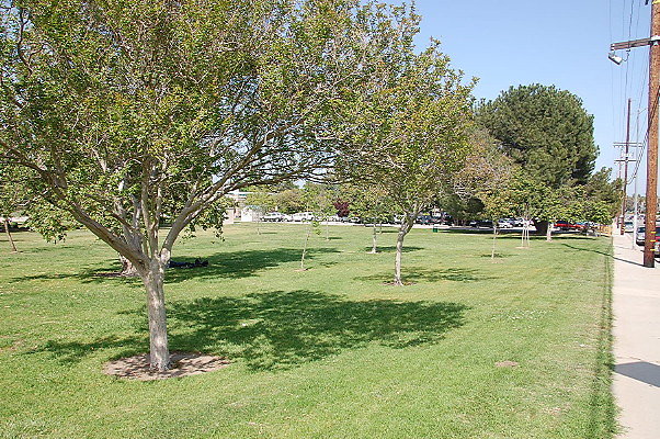 DSC 0070