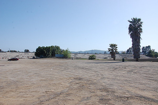 DSC 0253